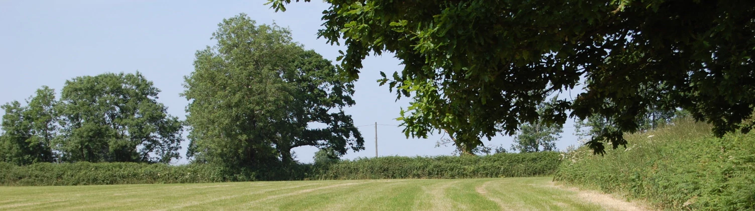 A field at Cleve Farm