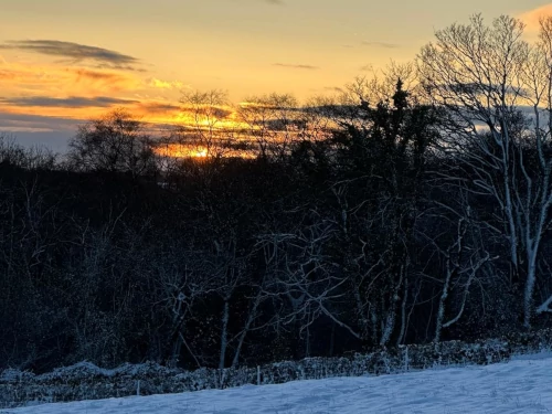 A view from the farm at sunset