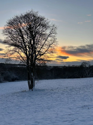 Cleve Farm - snow scene